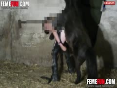 Horse provides pleasure by fucking a woman's cunt 